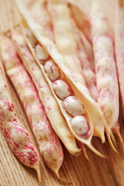 istock Red speckled kidney beans 1198339558