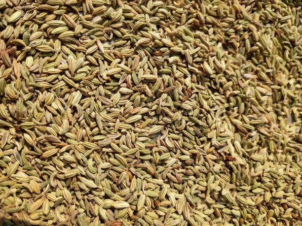 istock Indian food macro shot. 1198341239