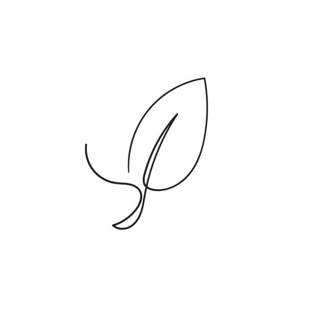 ilustrações de stock, clip art, desenhos animados e ícones de hand drawn leaf icon illustration with single line doodle concept vector - plantar ilustrações