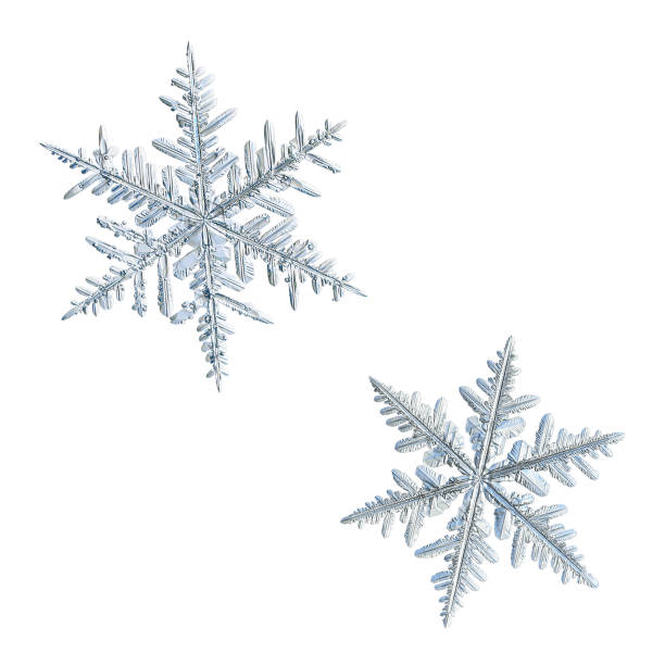 istock Real snowflakes isolated on white background 1198343948