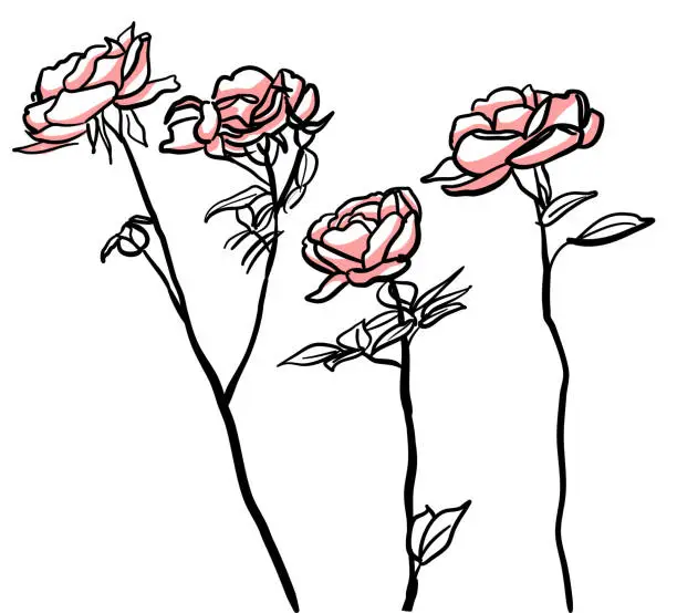 Vector illustration of Rose Garden