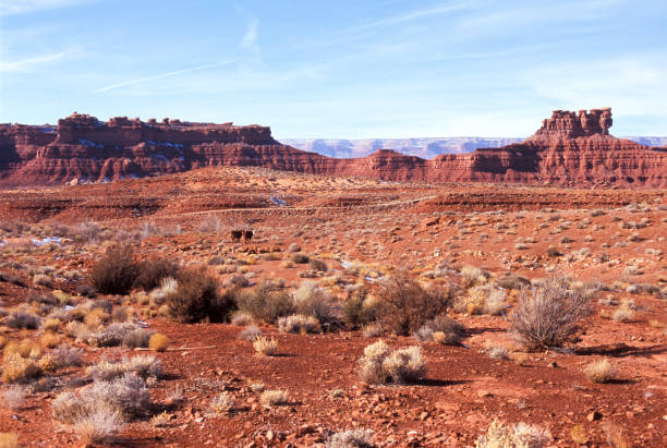 istock American Southwest 1198344858