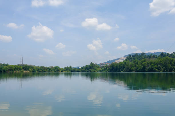 istock Scenic view of lakeshore during bright day. Selective focus. 1198344945