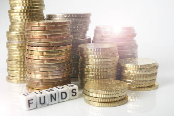 istock Coins and FUNDs word on white. Business and saving concept.Blurred image. 1198345590