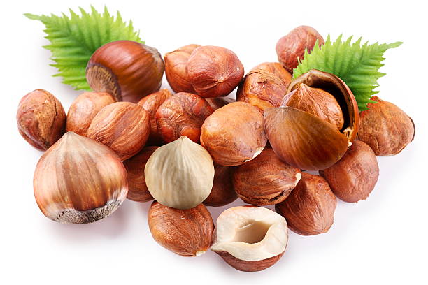 istock Filberts with leaves on white background 119834662