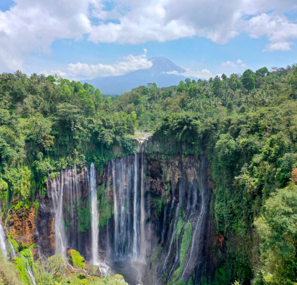 istock Scenic aerial view of Tumpak Sewu waterfall on Java 1198348262