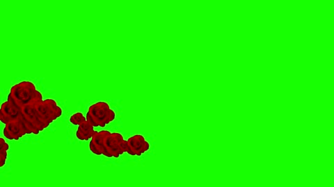 Group Of Flower Bloom Animation On Green Screen Stock Video - Download  Video Clip Now - 4K Resolution, Abstract, Backgrounds - iStock