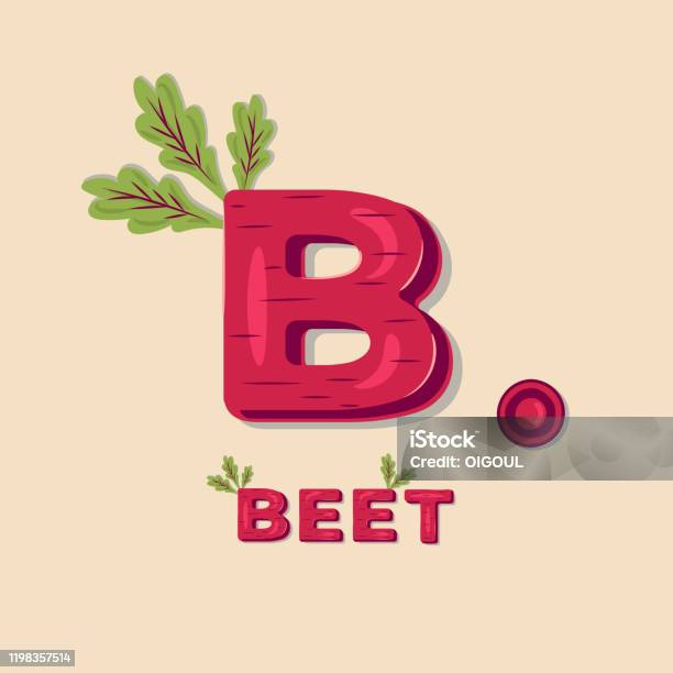 Beetroot Lettering Vegetable Beet Lettering Poster Design Vector Illustration Stock ...