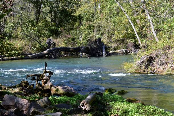 istock Welch Spring flowing into the Current River in rural Missouri 1198361079