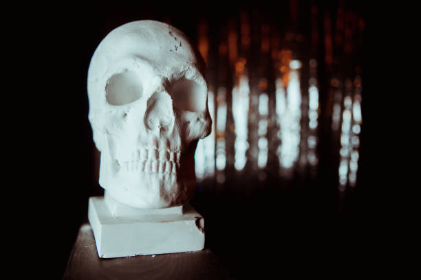 istock gypsum anatomical skull, bust, sculpture 1198361350