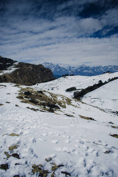 istock Valley of Himalayas 1198364039