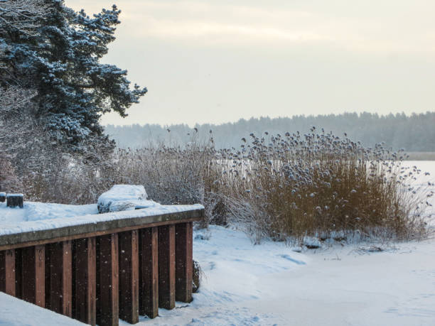 istock The river Lielupe river, snow-covered in Jurmala, Latvia 2018. 1198367098