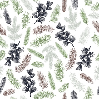Vector pattern   with coniferous branches.