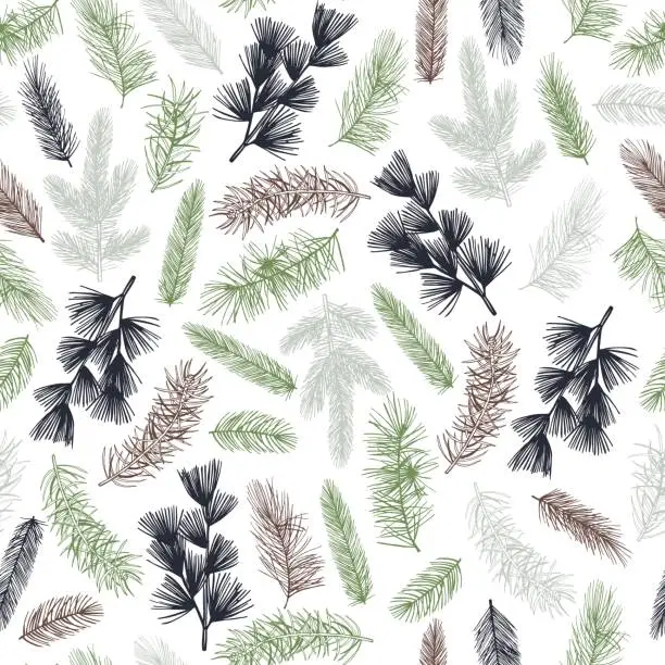 Vector illustration of Vector pattern   with coniferous branches.