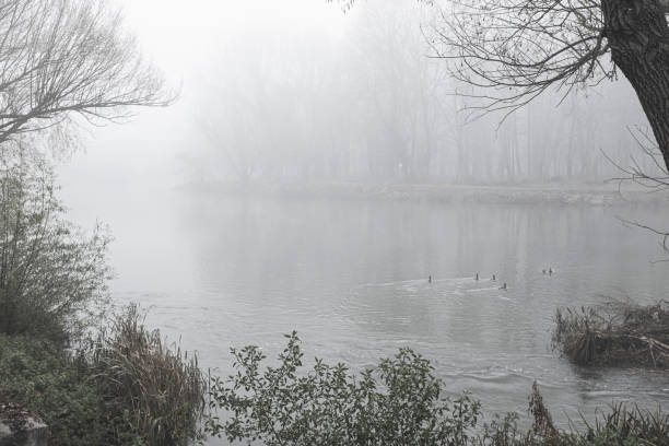 istock Deep fog landscape on a quiet river shore with winter tree branches 1198370891