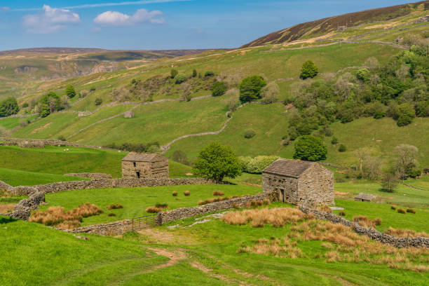 istock Between Keld and Thwaite, North Yorkshire, England 1198376665
