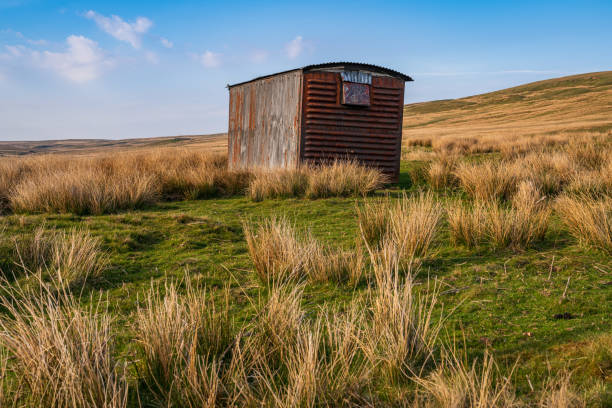 istock Near West Stonesdale, North Yorkshire, England 1198376676
