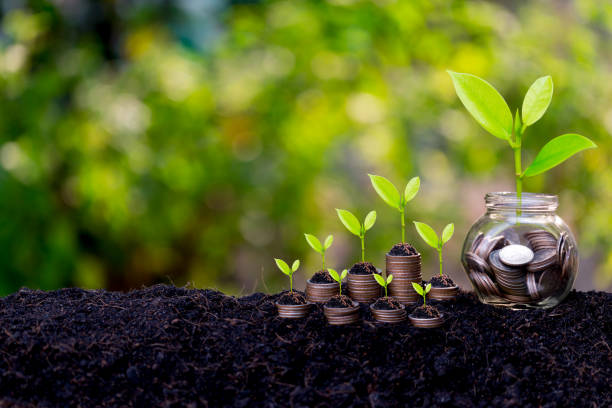 istock Savings growth concept,plant sprouting from the ground with green  background. 1198377214