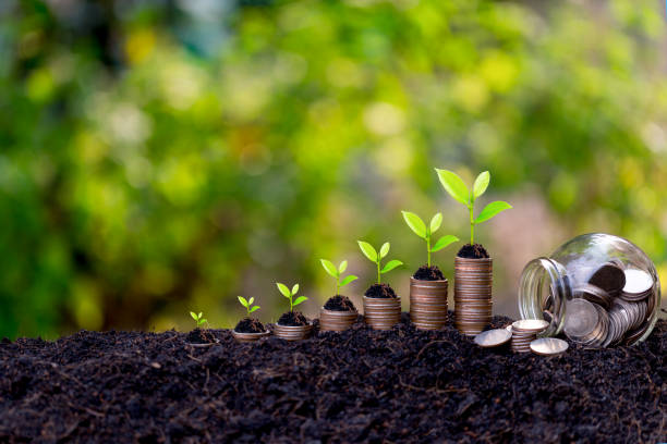 istock Savings growth concept,plant sprouting from the ground with green  background. 1198377223