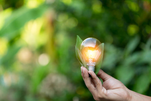 istock Hand holding light bulb,energy sources for renewable,natural energy concept. 1198377274