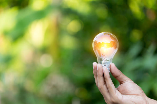 istock Hand holding light bulb,energy sources for renewable,natural energy concept. 1198377285