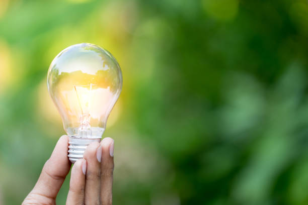 istock Hand holding light bulb,energy sources for renewable,natural energy concept. 1198377320