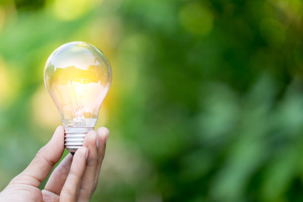 istock Hand holding light bulb,energy sources for renewable,natural energy concept. 1198377337
