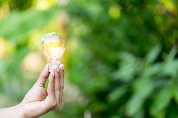 istock Hand holding light bulb,energy sources for renewable,natural energy concept. 1198377354