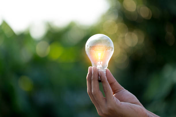 istock Hand holding light bulb,energy sources for renewable,natural energy concept. 1198377469