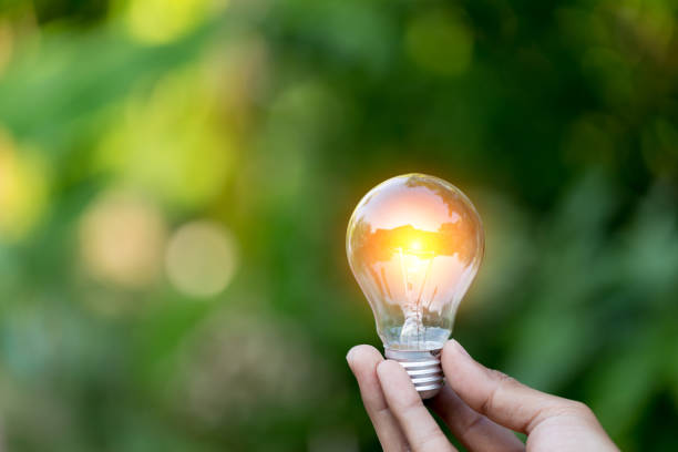 istock Hand holding light bulb,energy sources for renewable,natural energy concept. 1198378047