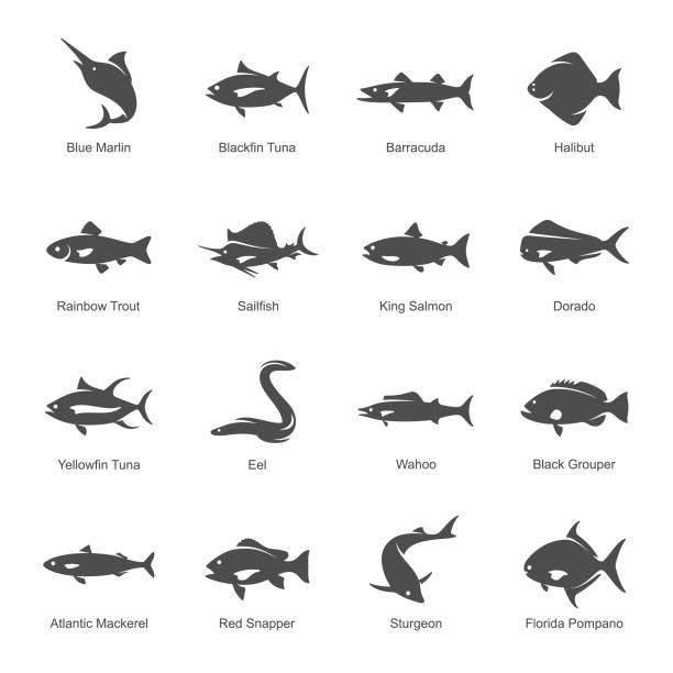 Fish icons Fish species vector icon set saltwater fish stock illustrations