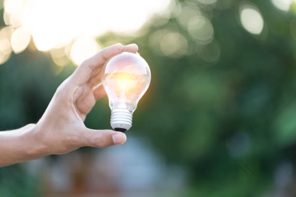 istock Hand holding light bulb,energy sources for renewable,natural energy concept. 1198378234