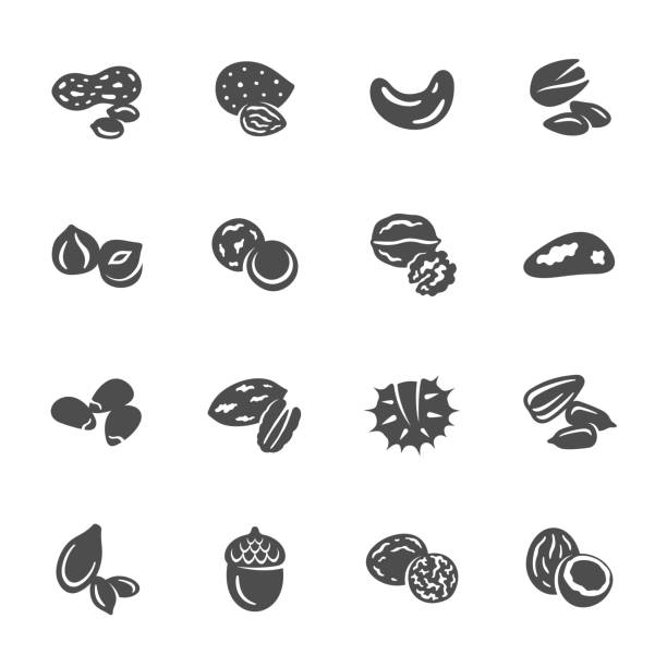 Nuts icons Kinds of nuts vector icon set chestnuts stock illustrations