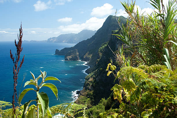 Madeira, north-east coast near Santana  malerisch stock pictures, royalty-free photos & images