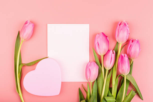 istock View from above tulips and gift box with copy space. Background for womens day, 8 March Valentines day, 14 february. Flat lay style, top view, mockup, template, overhead. Greeting card 1198380008