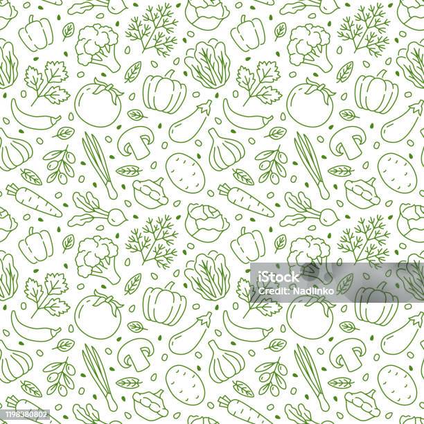 Food Background Vegetables Seamless Pattern Healthy Eating Tomato Garlic Carrot Pepper Broccoli Cucumber Line Icons Vegetarian Farm Grocery Store Vector Illustration Green White Color Stock Illustration - Download Image Now