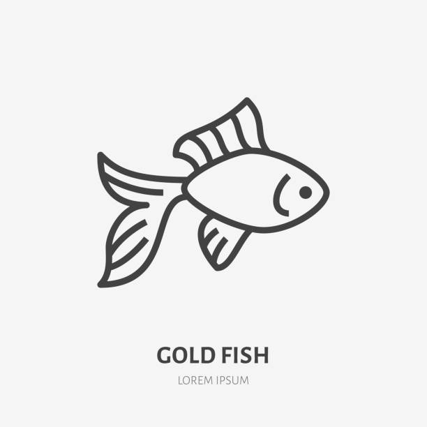 goldfisch linie symbol, vektor piktogramm von goldfischen. tier-illustration, zeichen für tier-shop - goldfish stock-grafiken, -clipart, -cartoons und -symbole