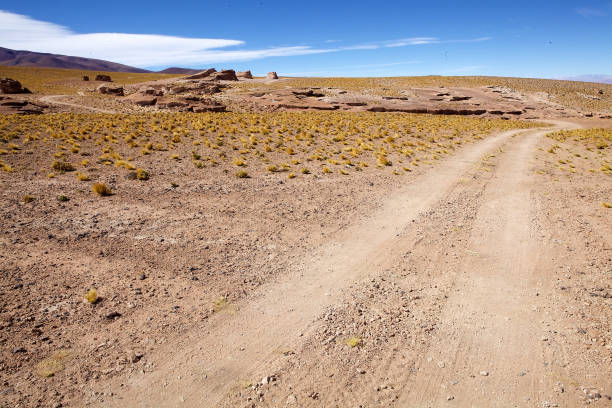 istock Landscape in the Puna de Atacama, Argentina 1198386082