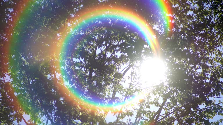 Tropical rain forest trees with rainbow flare