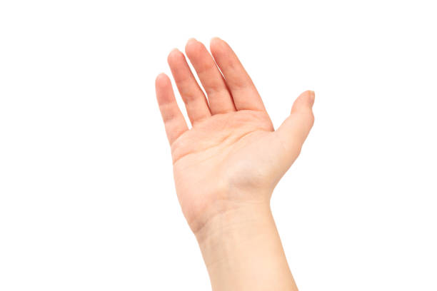 istock Hand of woman isolated on white 1198387618