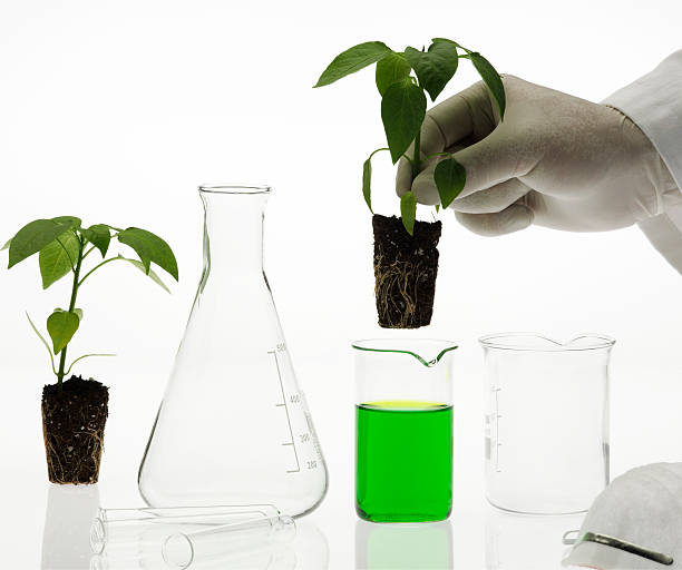 biotechnology concept stock photo