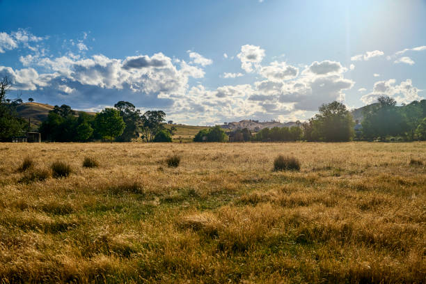 Shooting Landscape in Melbourne VIC, In Australia