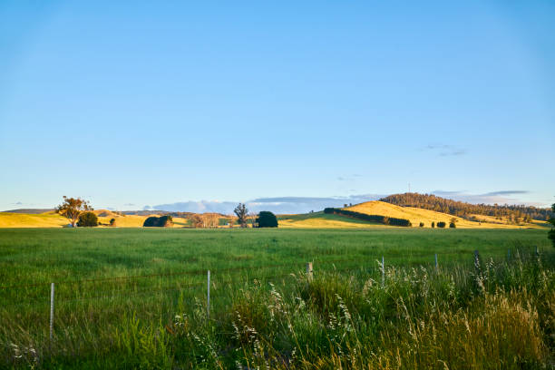 istock Landscape in Melbourne VIC, In Australia 1198391081