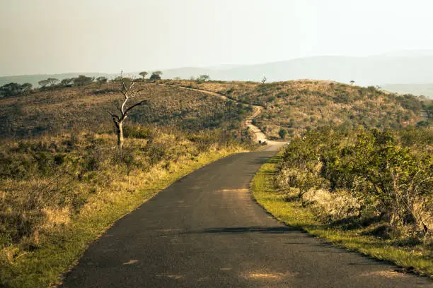 A safari road in the Hluhluwe - imfolozi National Park in South Africa