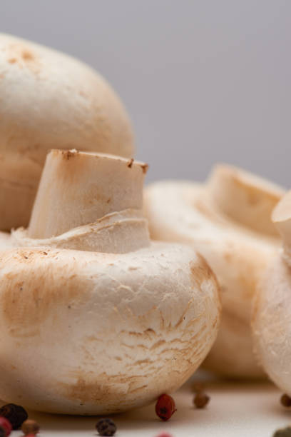 A neatly arranged bowl of raw white mushrooms showcasing their smooth texture and freshness.