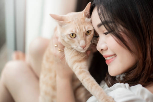 istock Beautiful asian  cat lover woman is playing with cat in her room 1198393473