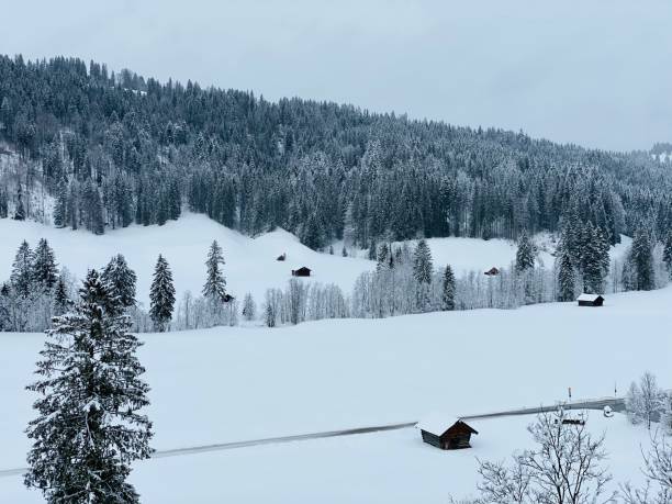 istock Winter wonderland in the Karwendel mountains 1198395574