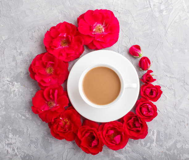 rote rosenblüten in einer spirale und eine tasse kaffee auf grauem betonhintergrund. morninig, frühling, mode-komposition. flache lage, ansicht von oben, nah. - comfort food high angle view directly above close up stock-fotos und bilder