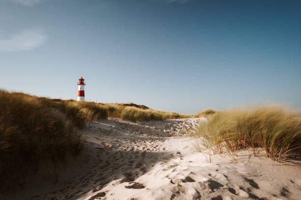 Nationalpark Langeoog and Water Tower On The East Frisian Island Langeoog  on a beautiful sunny summer day with clear blue sky