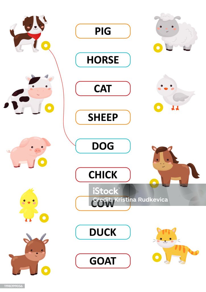 Match The Words Cute Kawaii Farm Animals Learn English Vocabulary Stock  Illustration - Download Image Now - iStock
